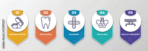 infographic template with thin line icons. infographic for medical concept. included medicine capsules, molar tooth, plastering, pelvic area, table of treatments editable vector.