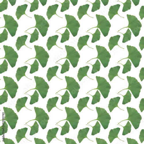 Ginkgo biloba leaves. Ginkgo biloba leaves pattern on white background.