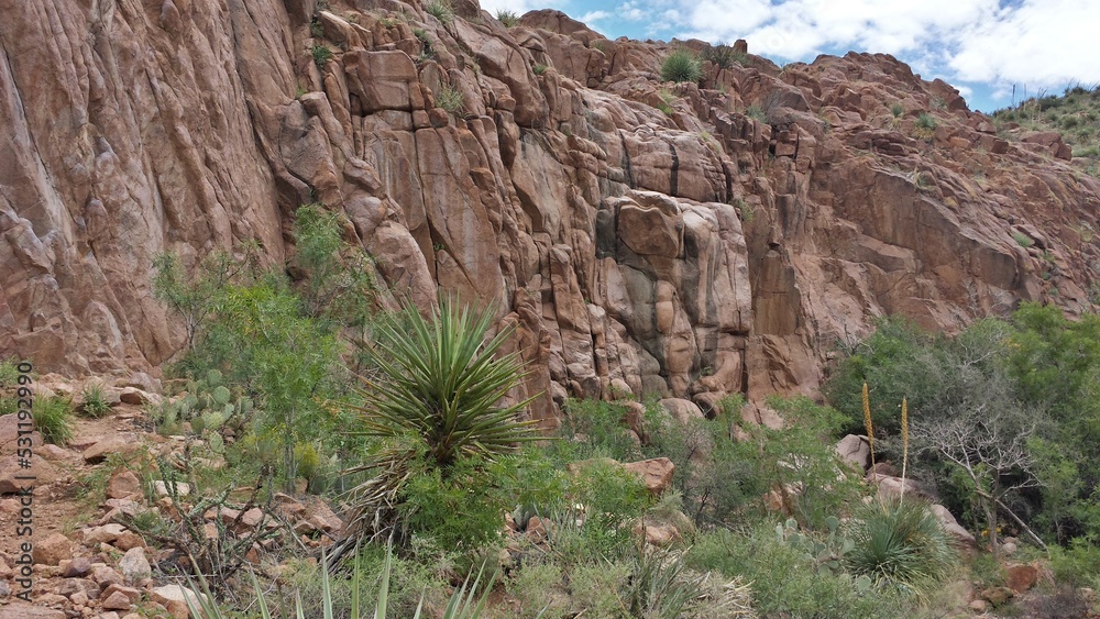 red rock canyon