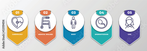 infographic template with thin line icons. infographic for health and medical concept. included cardiology, medical walker, body, spermatozoon, girl editable vector.