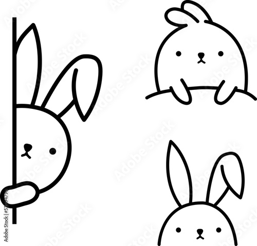 set of rabbits photo