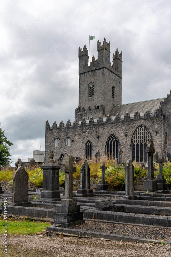 view of the cemetery and St. Mary's Cathedral in downtown Limerick