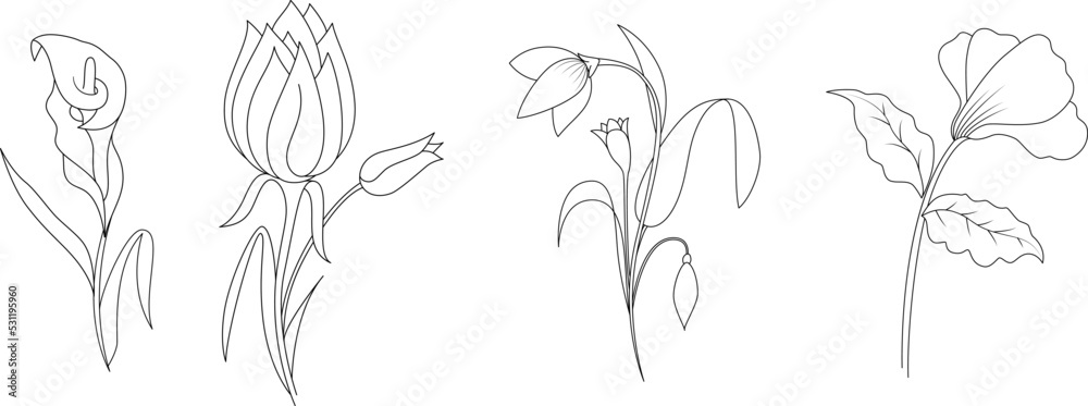 Vector collection of hand drawn plants. Botanical set of sketch flowers