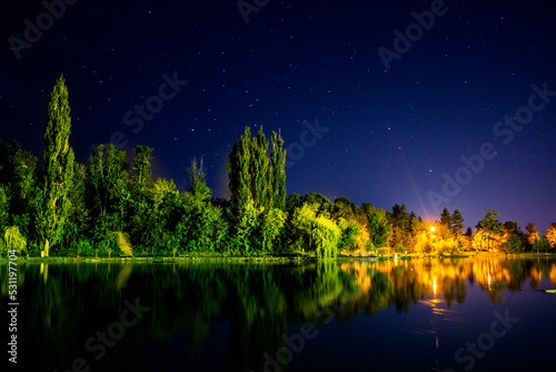 reflection of trees in water © musiphotography