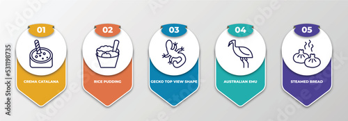 infographic template with thin line icons. infographic for culture concept. included crema catalana, rice pudding, gecko top view shape, australian emu, steamed bread editable vector.