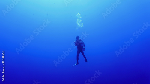 Underwater photo of scuba divers looking for hammerhead sharks. From a scuba dive in the Red sea in Egypt.