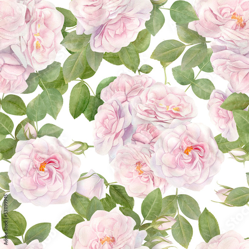 Hand drawn watercolor seamless pattern with pink rose flowers.