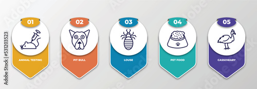 infographic template with thin line icons. infographic for animals concept. included animal testing, pit bull, louse, pet food, cassowary editable vector.