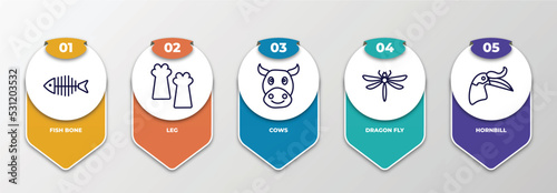 infographic template with thin line icons. infographic for animals concept. included fish bone, leg, cows, dragon fly, hornbill editable vector.