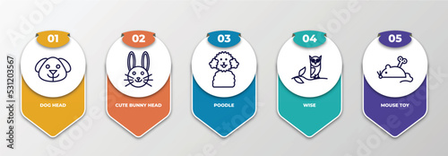 infographic template with thin line icons. infographic for animals concept. included dog head, cute bunny head, poodle, wise, mouse toy editable vector.