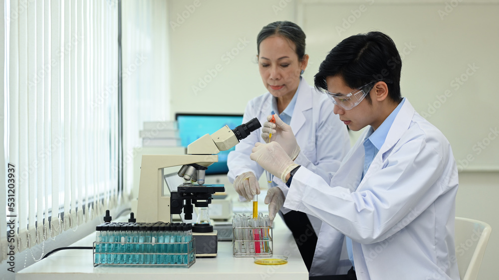 Fototapeta premium Young man researcher and senior supervisor are conducting experiment with test tubes and microscope slides in research laboratory