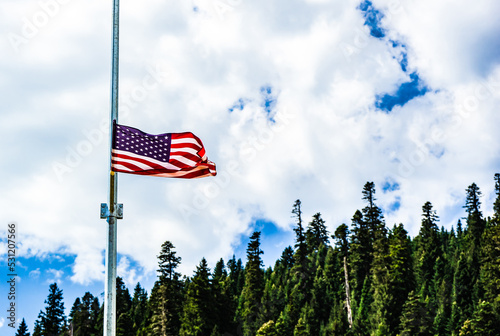 American flag at half mast over treetops, Georgia photo