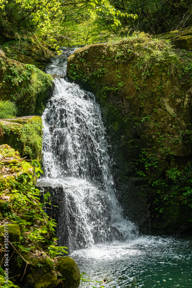 Naklejka premium 三重-【赤目四十八滝（新緑）】