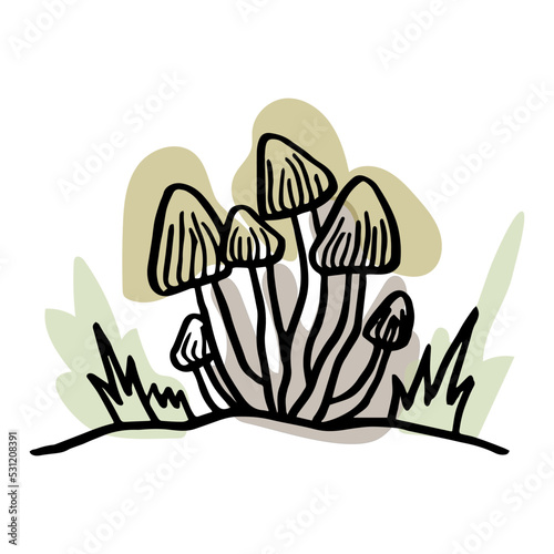 Mushrooms in the forest. Hand drawn. Isolated on whine.