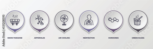 infographic template with outline icons. infographic for sauna concept. included snow paradise, arterioles, air cooling, respiration, hormones, green sauna editable vector.