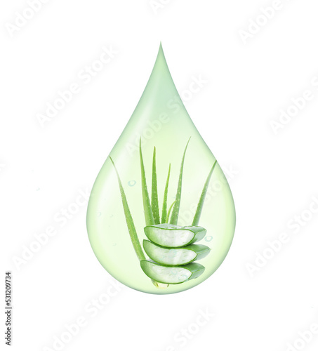Aloe Vera essential oil with Aloevera leaf and aloe gel isolated on white background. Skincare, health, beauty and spa concept. 