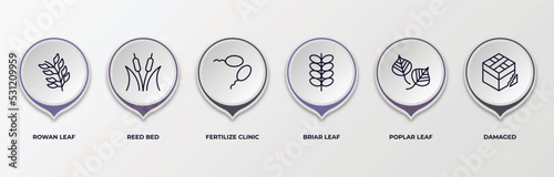 infographic template with outline icons. infographic for nature concept. included rowan leaf, reed bed, fertilize clinic, briar leaf, poplar leaf, damaged editable vector.