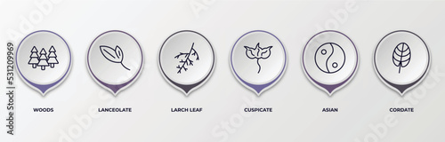 infographic template with outline icons. infographic for nature concept. included woods, lanceolate, larch leaf, cuspicate, asian, cordate editable vector.