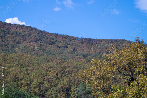 Dense autumn forest on the hills and blue sky with clouds