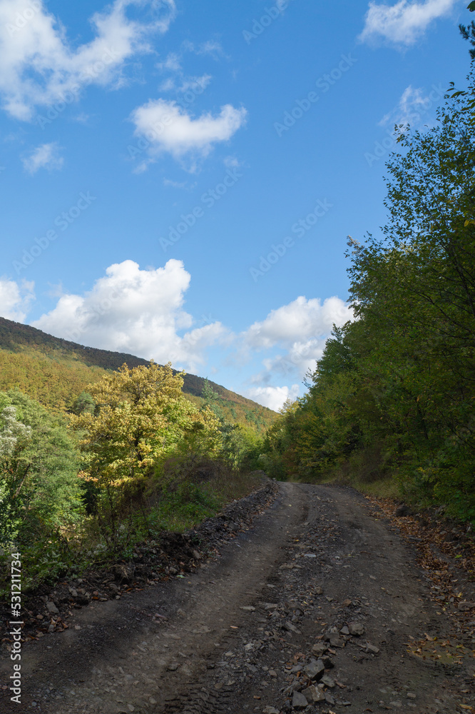Green mountains covered with dense forest and blue sky in early autumn