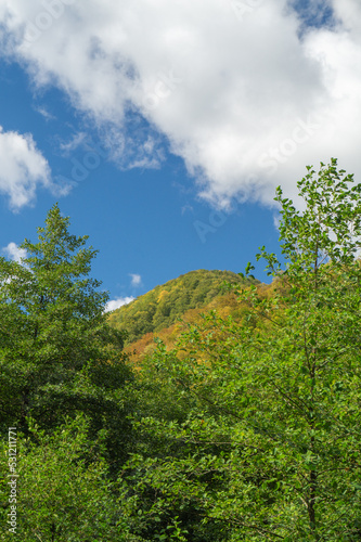 Green mountains covered with dense forest and blue sky in early autumn