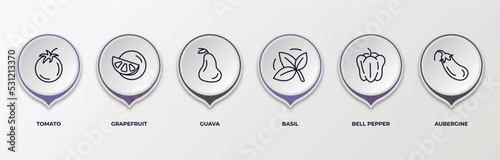infographic template with outline icons. infographic for fruits and vegetables concept. included tomato, grapefruit, guava, basil, bell pepper, aubergine editable vector.
