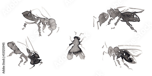 Set 13 with five differents forms bee pictures isolated on white.  Hand drawn chinese ink on paper textures. Raster © Olexandr Kulichenko
