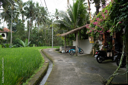 bicycle in the garden in village Bali indonesia