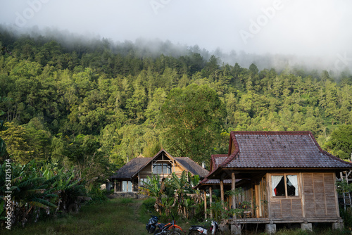 house in the woods in village in tropical city, jungle, fog © vladimir