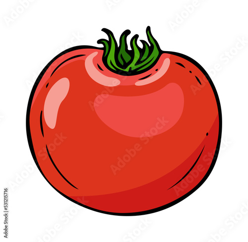 Colorful tomato with black contour on white background