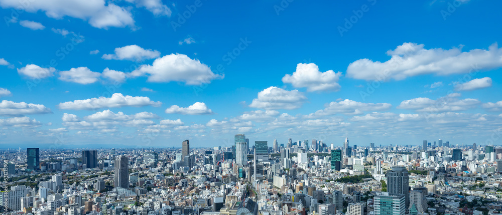 Fototapeta premium 東京風景