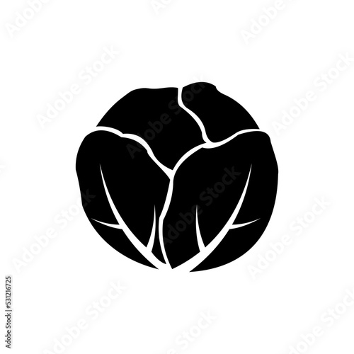 cabbage vegetable vector icon