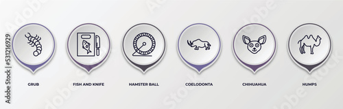 infographic template with outline icons. infographic for animals concept. included grub, fish and knife, hamster ball, coelodonta, chihuahua, humps editable vector. photo