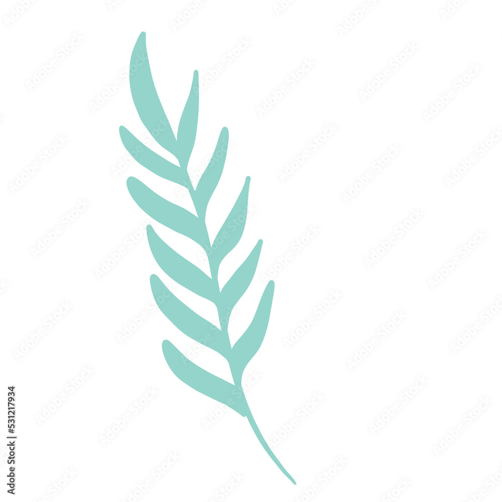 Fototapeta premium florals and leaves for decoration 