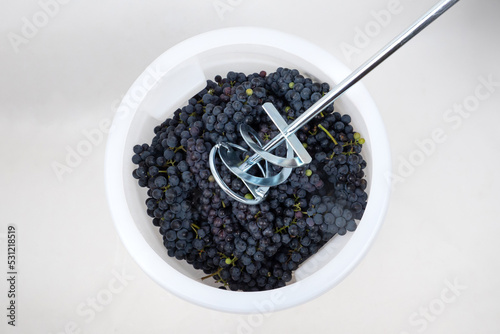 Photo mixer crush fresh grapes in a container, the process of making red wine