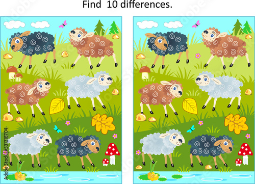 Difference game with sheep grazing at the pasture

