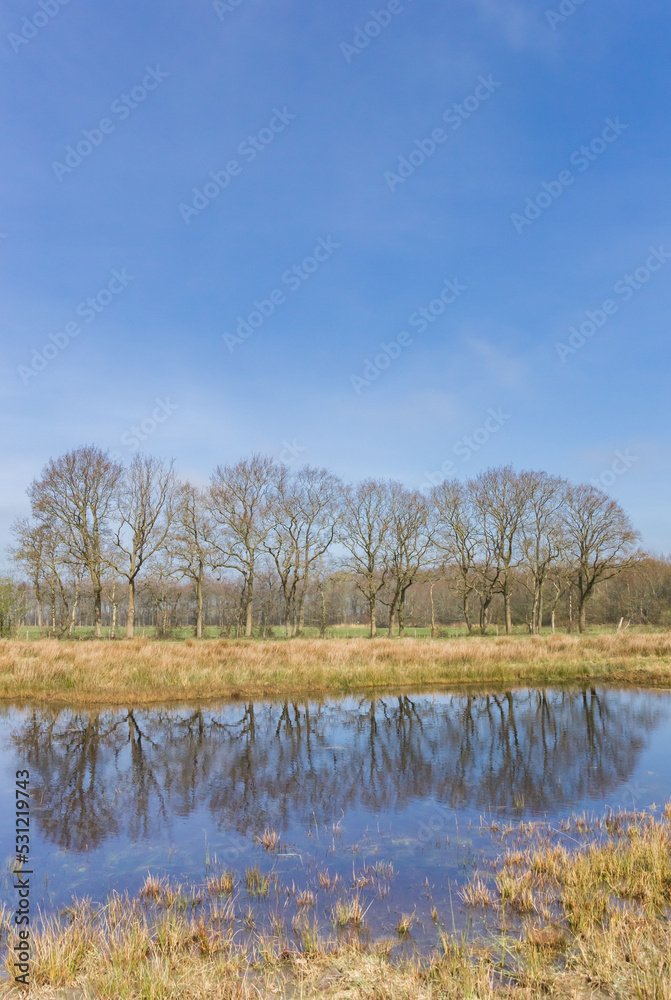 Little pond reflecting trees in the nature reserve Wildemerk, Netherlands