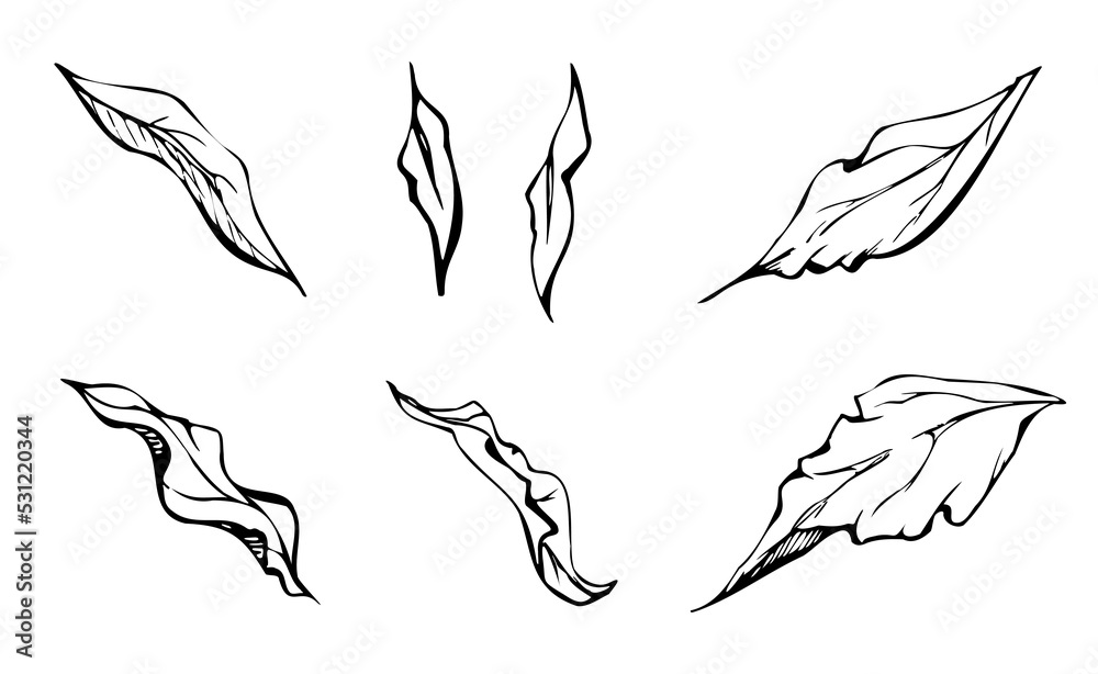 Set of hand drawn vector elements with peony flowers, buds and leaves. Isolated on white background. Design for invitations, wedding or greeting cards, wallpaper, print, textile Set of hand drawn vector elements with peony flowers, buds and leaves. Isolated on white background. Design for invitations, wedding or greeting cards, wallpaper, print, textile