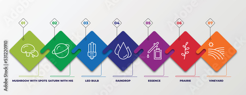 infographic template with linear icons. infographic for nature concept. included mushroom with spots, saturn with his ring, led bulb, raindrop, essence, prairie, vineyard editable vector.