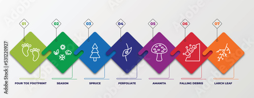 infographic template with linear icons. infographic for nature concept. included four toe footprint, season, spruce, perfoliate, amanita, falling debris, larch leaf editable vector.