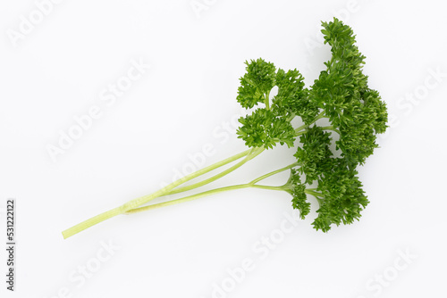 Bio parsley leaf on white background.
