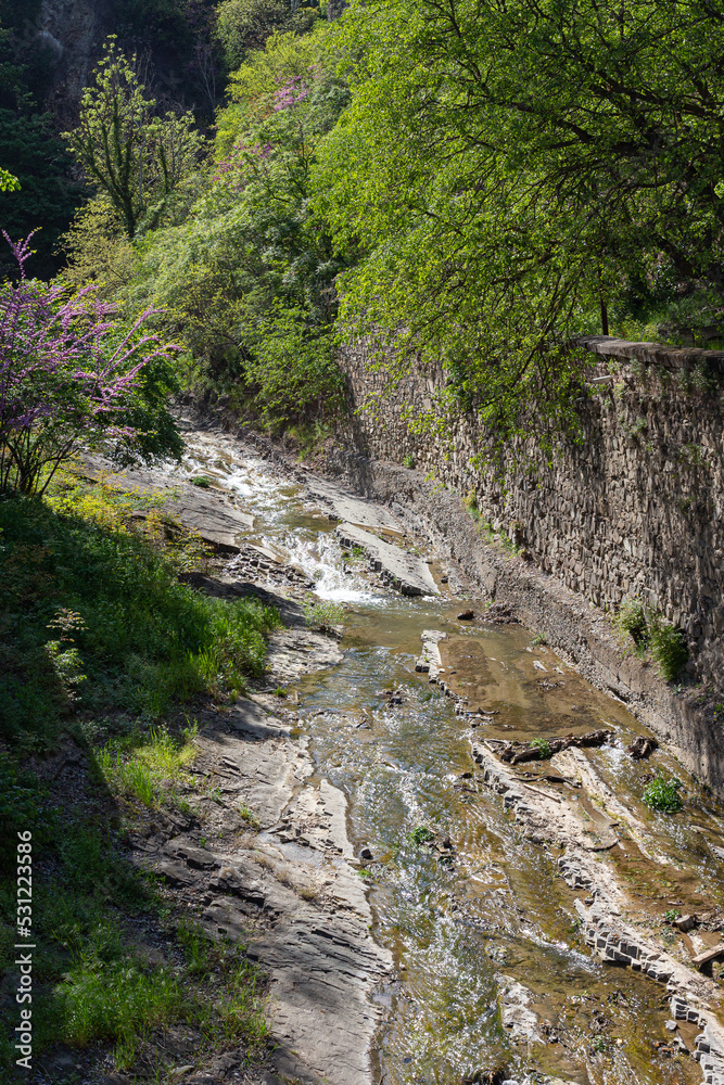 The river flows in the Leghvtakhevi canyon in the botanical garden of the city of Tbilisi. Georgia country The river flows in the Leghvtakhevi canyon in the botanical garden of the city of Tbilisi. Georgia country