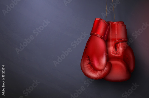 Red Boxing Gloves Composition © Macrovector