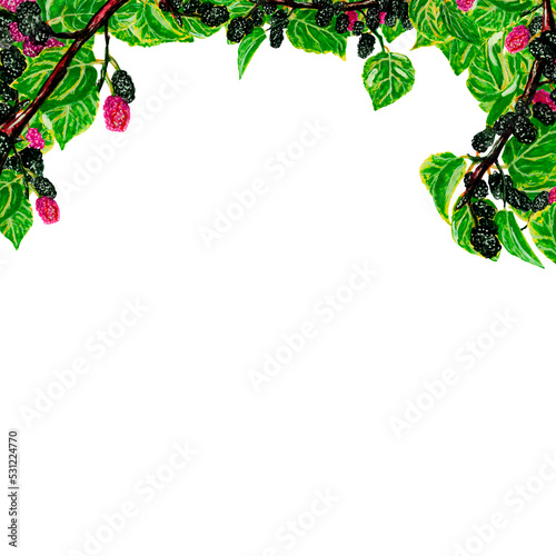 Watercolor template frame sweet berry on a tree branch, on a white background for your design