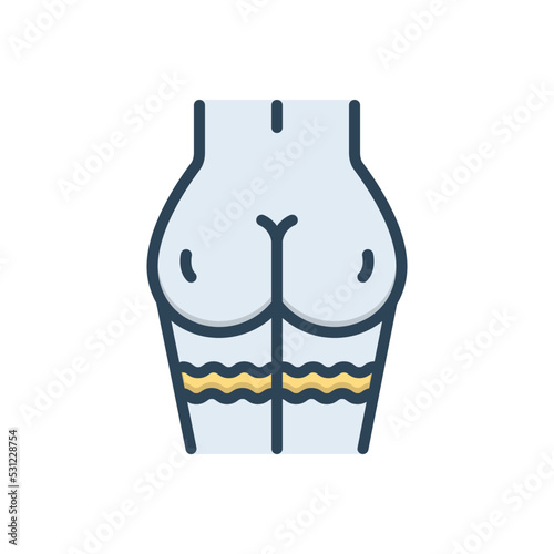 Color illustration icon for butt