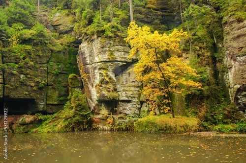 A beautifully river flowing autumn forest