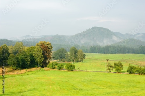 Foggy autumn landscape