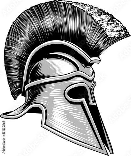Spartan Ancient Greek Troja...