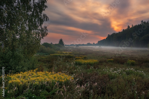 Meadow with yellow flowers at morning twilight against fog and colorful sky Dubna Russia