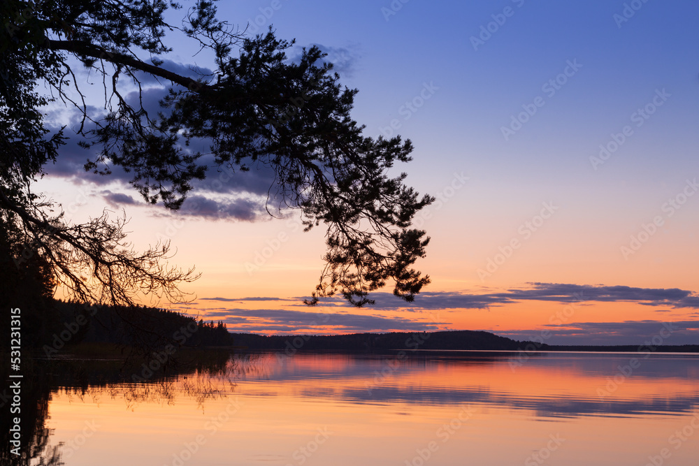 Sunset landscape with pine branch and colorful clouds reflecting in still lake water Karelia Russia Sunset landscape with pine branch and colorful clouds reflecting in still lake water Karelia Russia